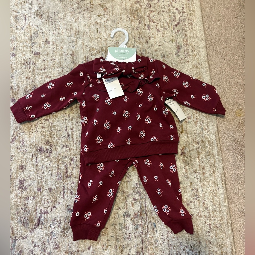 9-12 Month Baby Girl Sweat Suit Matching Set